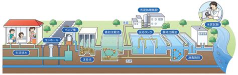 水 重要性|飲み水はどこから？使った水はどこへ？ 暮らしを支える「水の。